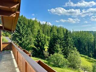 Ein Paradies in Alleinlage - Exklusives Anwesen an der Teichalm, 0 €, Immobilien-Häuser in 8163 Fladnitz an der Teichalm
