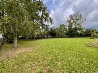 Ruhig gelegenes Baugrundstück am Stadtrand von Wels zu verkaufen, 279840 €, Immobilien-Grund und Boden in 4600 Wels