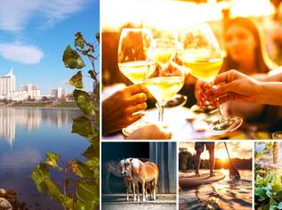 Von der Abendsonne geküsst! Viel Ruhe, Grün und TOP-Qualität! Early Bird nutzen! 2 Zimmer + Balkon + Hochwertige Ausstattung + Ideale Infrastruktur + Garage + Ein neues Lebebsgefühl!, 284000 €, Immobilien-Wohnungen in 1210 Floridsdorf