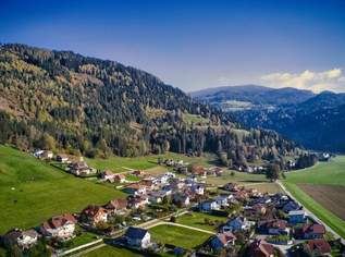 Haus ohne Renovierungsbedarf mit Top-Ausstattung mitten in Kärnten