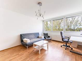 Kleinwohnung mit Entwicklungspotenzial – 4. OG mit Lift, 99000 €, Immobilien-Wohnungen in 8010 
