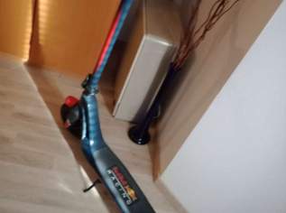 E Scooter Red Bull , 450 €, Marktplatz-Sportgeräte & Zubehör in 8530 Deutschlandsberg