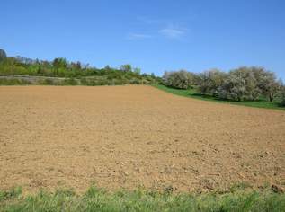 Betriebsgebiet - Grundstück in Oberwart – Große Wertsteigerung möglich! (Provisionsfrei), 297000 €, Immobilien-Grund und Boden in 7400 Oberwart