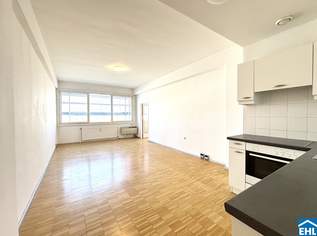 Laurenzi am Fluss- Wohnen und Arbeiten mit Weitblick!, 549000 €, Immobilien-Wohnungen in 1010 Innere Stadt