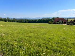 Grundstück mit Aussichtslage perfekt für Einzelhaus oder Doppelhaus, 375000 €, Immobilien-Grund und Boden in 4073 Wilhering