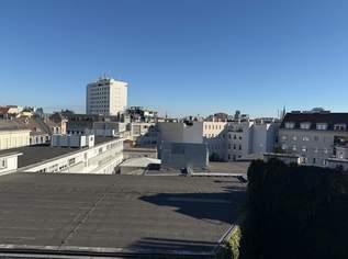 Großzügige Dachgeschoßwohnung mit ruhiger Südterrasse und Klimaanlage, 750000 €, Immobilien-Wohnungen in 1020 Leopoldstadt