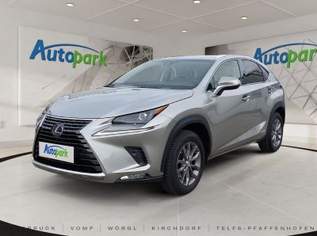 NX 300h Executive Hybrid Aut. Allrad, 34490 €, Auto & Fahrrad-Autos in 6020 Innsbruck NX 300h Executive Hybrid Aut. Allrad, 34490 €, Auto & Fahrrad-Autos in 6020 Innsbruck