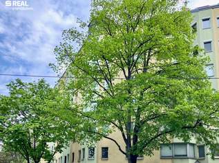 Toplage Nähe Augarten – 3-Zimmer-Wohnung – bezugsbereit, 339000 €, Immobilien-Wohnungen in 1200 Brigittenau