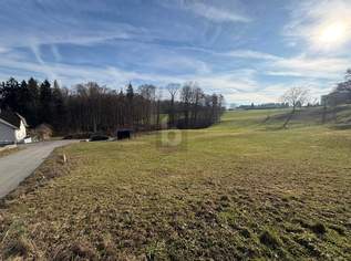 WOHNEN AUF HÖCHSTEM NIVEAU, KEIN BAUZWANG - SÜDHANG IN RUHELAGE MIT ZENTRUMSNÄHE, 0 €, Immobilien-Grund und Boden in 4400 Steyr WOHNEN AUF HÖCHSTEM NIVEAU, KEIN BAUZWANG - SÜDHANG IN RUHELAGE MIT ZENTRUMSNÄHE, 0 €, Immobilien-Grund und Boden in 4400 Steyr