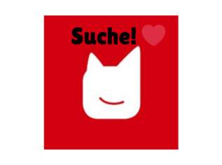 Suche Tonie Box Figuren , null €, Kindersachen-Spielzeug in Österreich Suche Tonie Box Figuren , null €, Kindersachen-Spielzeug in Österreich