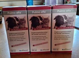 2x Pulmo Alfa und Hundehalsband - neu abzugeben!