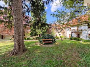 TOP LAGE - Charmante Dachgeschosswohnung in Baden, 429900 €, Immobilien-Wohnungen in 2500 Gemeinde Baden TOP LAGE - Charmante Dachgeschosswohnung in Baden, 429900 €, Immobilien-Wohnungen in 2500 Gemeinde Baden