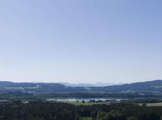 Vielseitige Gewerbeimmobilie: Büro-, Werkstätten-, Lager- & Ausstellungshalle in OÖ!!, 0 €, Immobilien-Gewerbeobjekte in 5165 Berndorf bei Salzburg