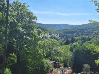 Klosterneuburg; Baurechtsliegenschaft mit Planung für ein Luxus Doppelhaus; kurz vor Baugenehmigung, Baurechtszins nur 650.-/Monat, 690000 €, Immobilien-Grund und Boden in 3400 Weidling Klosterneuburg; Baurechtsliegenschaft mit Planung für ein Luxus Doppelhaus; kurz vor Baugenehmigung, Baurechtszins nur 650.-/Monat, 690000 €, Immobilien-Grund und Boden in 3400 Weidling