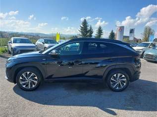 Tucson NX4 Trend Line 1,6 T-GDi 2WD 48V DCT t1bt1, 23210 €, Auto & Fahrrad-Autos in 5202 Neumarkt am Wallersee
