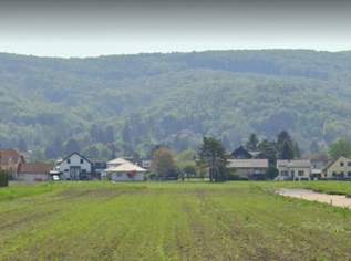 17km von Wiener Stadtgrenze – von PRIVAT an PRIVAT , 289000 €, Immobilien-Grund und Boden in 3424 Gemeinde Zeiselmauer-Wolfpassing