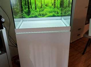 Aquarium mit Unterschrank , 100 €, Marktplatz-Tiere & Tierbedarf in 6020 Innsbruck