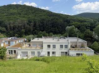 Wunderschöne Eigentumswohnung mit Terrasse und tollem Garten in herrlicher Grünruhelage, 595000 €, Immobilien-Wohnungen in 3002 Purkersdorf Wunderschöne Eigentumswohnung mit Terrasse und tollem Garten in herrlicher Grünruhelage, 595000 €, Immobilien-Wohnungen in 3002 Purkersdorf