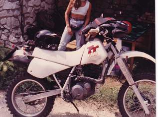 TT600, 900 €, Auto & Fahrrad-Motorräder in 2183 Sankt Ulrich TT600, 900 €, Auto & Fahrrad-Motorräder in 2183 Sankt Ulrich