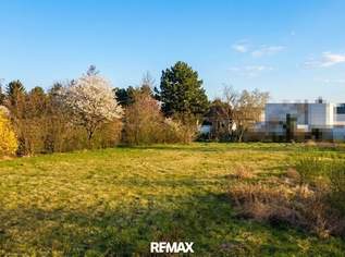 Großzügiges Grundstück für Ihren persönlichen Wohntraum! Kein Bauzwang!, 522000 €, Immobilien-Grund und Boden in 2231 Strasshof an der Nordbahn Großzügiges Grundstück für Ihren persönlichen Wohntraum! Kein Bauzwang!, 522000 €, Immobilien-Grund und Boden in 2231 Strasshof an der Nordbahn
