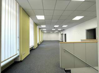 VIELE GESTALTUNGSMÖGLICHKEITEN: Erdgeschoss-Büro direkt bei der Landstraßer Hauptstraße!, 2495.01 €, Immobilien-Gewerbeobjekte in 1030 Landstraße