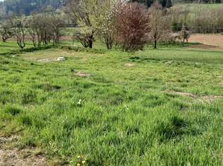 Bauplatz , 200 €, Immobilien-Grund und Boden in 8062 Kumberg