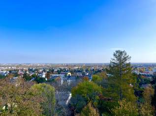 Charmante, voll möblierte 2-Zimmer-Dachgeschosswohnung in einer ruhigen Lage von Mödling, 1000 €, Immobilien-Wohnungen in 2340 Gemeinde Mödling