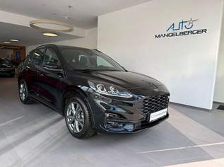 Kuga 2,0 TDCi ST-Line Ecoblue Aut., 29900 €, Auto & Fahrrad-Autos in 5165 Berndorf bei Salzburg