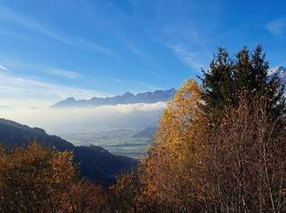 Preisreduktion! Für Liebhaber: Ihr Rückzugsort in traumhafter Berglage, 394000 €, Immobilien-Grund und Boden in 6113 Gemeinde Wattenberg