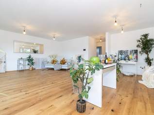 MODERNES NEUBAUHAUS MIT GARTEN UND KLARER RAUMAUFTEILUNG, 597000 €, Immobilien-Häuser in 2435 Wienerherberg MODERNES NEUBAUHAUS MIT GARTEN UND KLARER RAUMAUFTEILUNG, 597000 €, Immobilien-Häuser in 2435 Wienerherberg