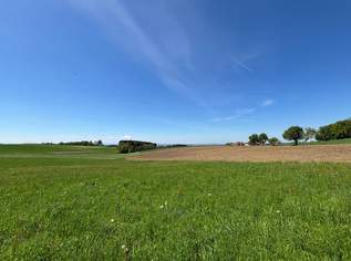 MIETEN oder KAUFEN, 230000 €, Immobilien-Häuser in 4794 Kopfingerdorf