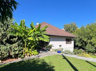 Geräumiges Einfamilienhaus, vollunterkellert, mit sehr schönem Garten!, 229000 €, Immobilien-Häuser in 7412 Wolfau Geräumiges Einfamilienhaus, vollunterkellert, mit sehr schönem Garten!, 229000 €, Immobilien-Häuser in 7412 Wolfau