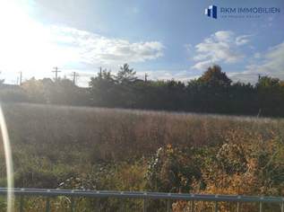 Baden (NÖ): 5.630 m² Kleingartensiedlungs-Grundstück – Konzept & Plan vorhanden | 18 Pacht-Interessenten | € 1.126.000, 1126000 €, Immobilien-Grund und Boden in 2500 Gemeinde Baden