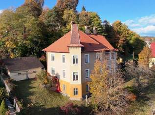 Historische Villa in St. Veit/Glan in allerbester Lage, 890000 €, Immobilien-Häuser in 9300 Sankt Veit an der Glan