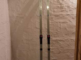 Langlaufski Fischer ideal als Deko Länge 205 cm (siehe Foto)