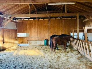 Pferde-Offenstall Einstellplätze in 4511 Allhaming Pferde-Offenstall Einstellplätze in 4511 Allhaming