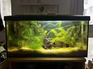 Verkaufe Aquarium Verkaufe Aquarium