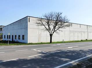 Attraktiver Standort: 1,516 m2 Halle/Lager zu mieten, 9854 €, Immobilien-Gewerbeobjekte in 2474 Gattendorf