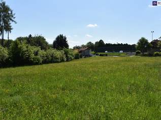 Wunderbares Bauträgergrundstück in Bestlage Nähe 8301 Laßnitzhöhe, 1545000 €, Immobilien-Grund und Boden in 8301 Laßnitzhöhe