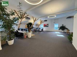 3 MONATE HAUPTMIETZINSFREI: Modern sanierte Bürofläche in Graz - in Zentrumsnähe!, 4530 €, Immobilien-Gewerbeobjekte in 8010 