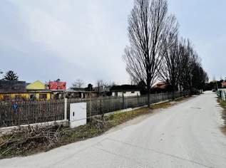 Großes Grundstück mit vielen Möglichkeiten, 0 €, Immobilien-Grund und Boden in 2523 Gemeinde Tattendorf