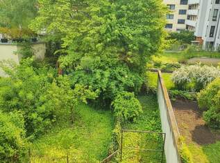 KLASSISCHE ZWEI-ZIMMER-ALTBAUWOHNUNG mit Miniküche und Grünblick!, 786.1 €, Immobilien-Wohnungen in 1230 Liesing KLASSISCHE ZWEI-ZIMMER-ALTBAUWOHNUNG mit Miniküche und Grünblick!, 786.1 €, Immobilien-Wohnungen in 1230 Liesing