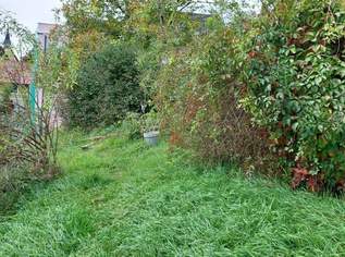 Genug Platz für Ihr Traumhaus!, 75000 €, Immobilien-Grund und Boden in 3252 Petzenkirchen Genug Platz für Ihr Traumhaus!, 75000 €, Immobilien-Grund und Boden in 3252 Petzenkirchen