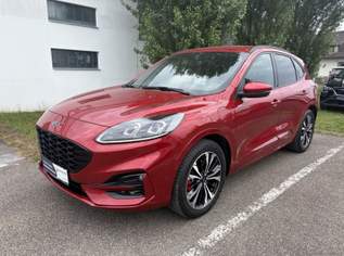 Kuga 2,5 Duratec PHEV ST-Line X Aut., 23790 €, Auto & Fahrrad-Autos in 8435 Wagna