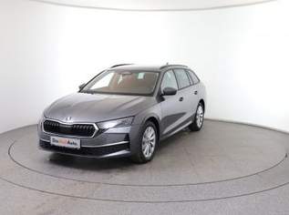 Octavia Selection TDI DSG, 37490 €, Auto & Fahrrad-Autos in 8792 St. Peter-Freienstein