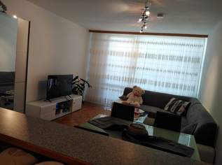 Verkaufe Wohnung Garconniere mit Salzachblick, 210000 €, Immobilien-Wohnungen in 5020 Salzburg