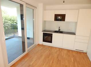 "Wohntraum" Terrassenwohnung mit neuer komplett Küche - Erstbezug nähe Mühlwasser, 549000 €, Immobilien-Wohnungen in 1220 Donaustadt