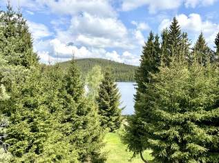 HAUS AM SEE - Ihr privates Naturparadies im Waldviertel, 798000 €, Immobilien-Häuser in 3664 Oed
