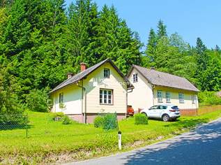 Renovierungsbedürftige Landhäuser viel Grund - Gesamtfläche 4032 m² !!! Renovierung und Schönheitsreparaturen sind erforderlich, dennoch sofort beziehbar., 145000 €, Immobilien-Häuser in 2572 Untertriesting