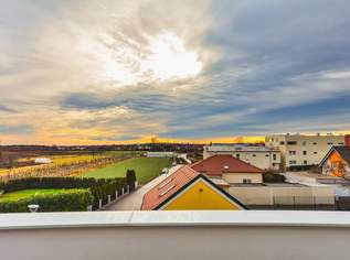 Wohlfühloase - außergewöhnliche Architektur im Zentrum von Leobersdorf, 2390 €, Immobilien-Häuser in 2544 Leobersdorf